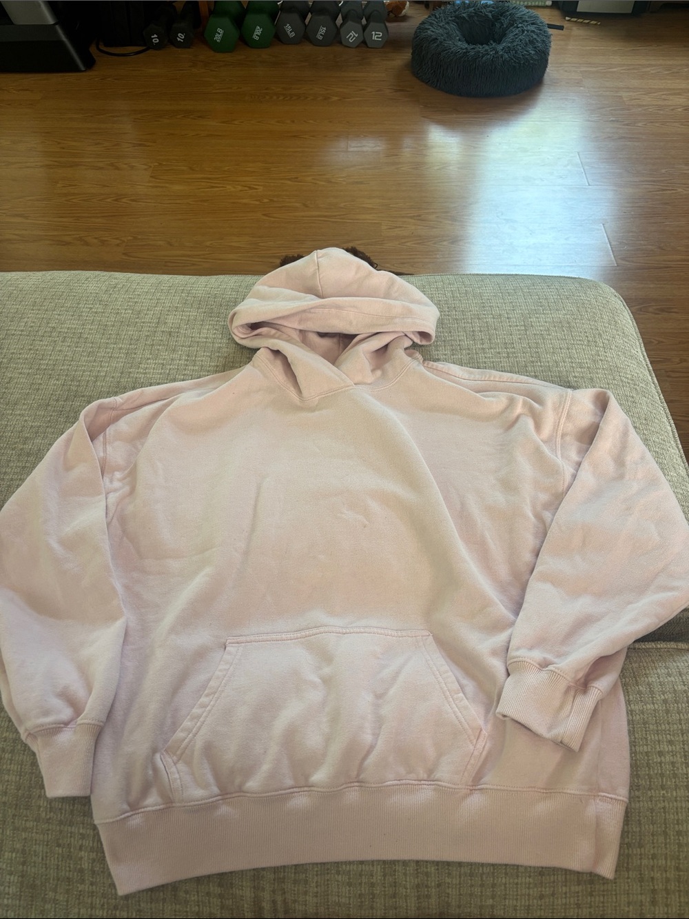 Hollister Women's Light Pink Pullover Hoodie